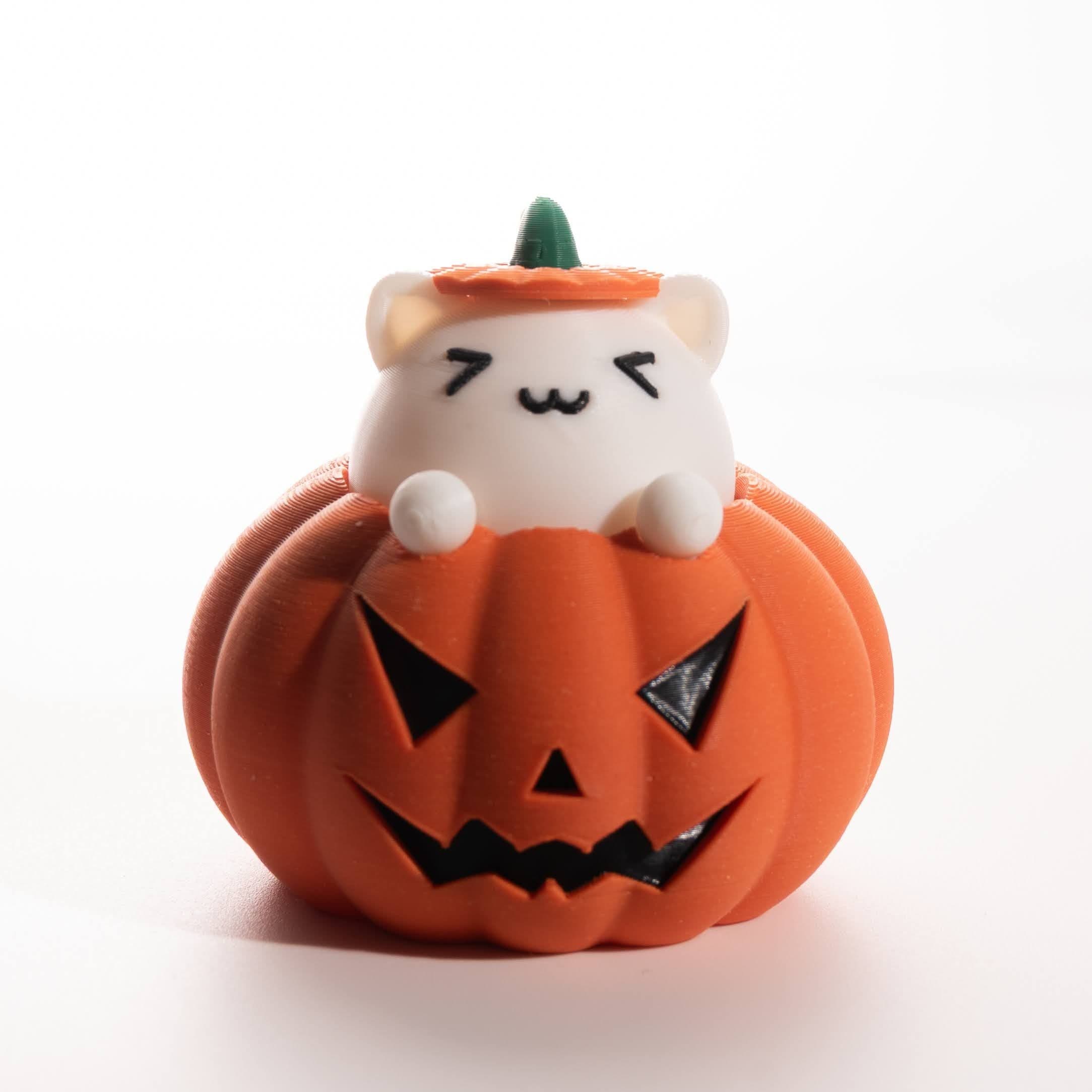 Cat in Pumpkin Fidget - Halloween - Thumbnail 5