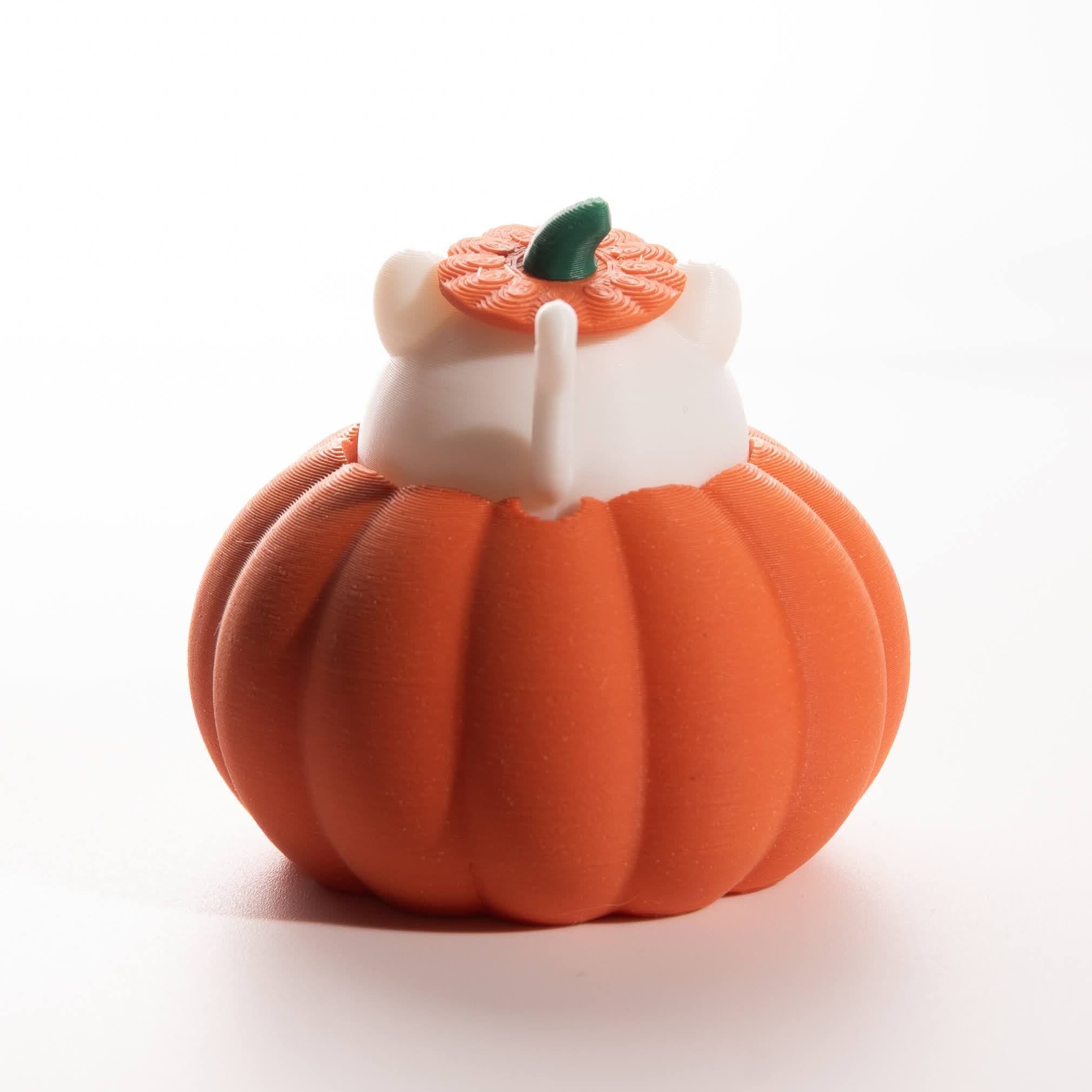 Cat in Pumpkin Fidget - Halloween - Thumbnail 4