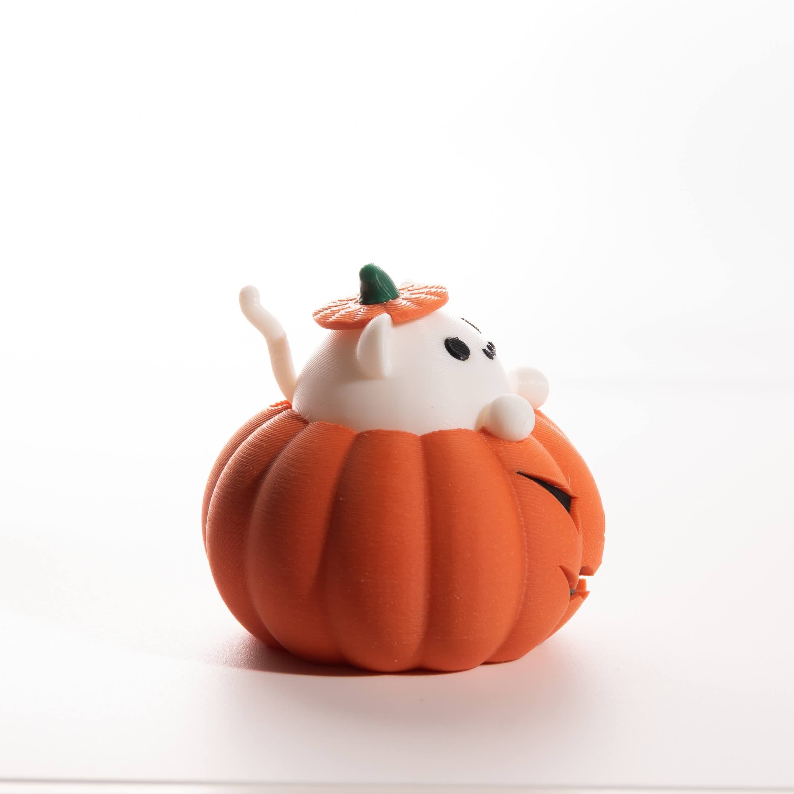Cat in Pumpkin Fidget - Halloween - Thumbnail 3